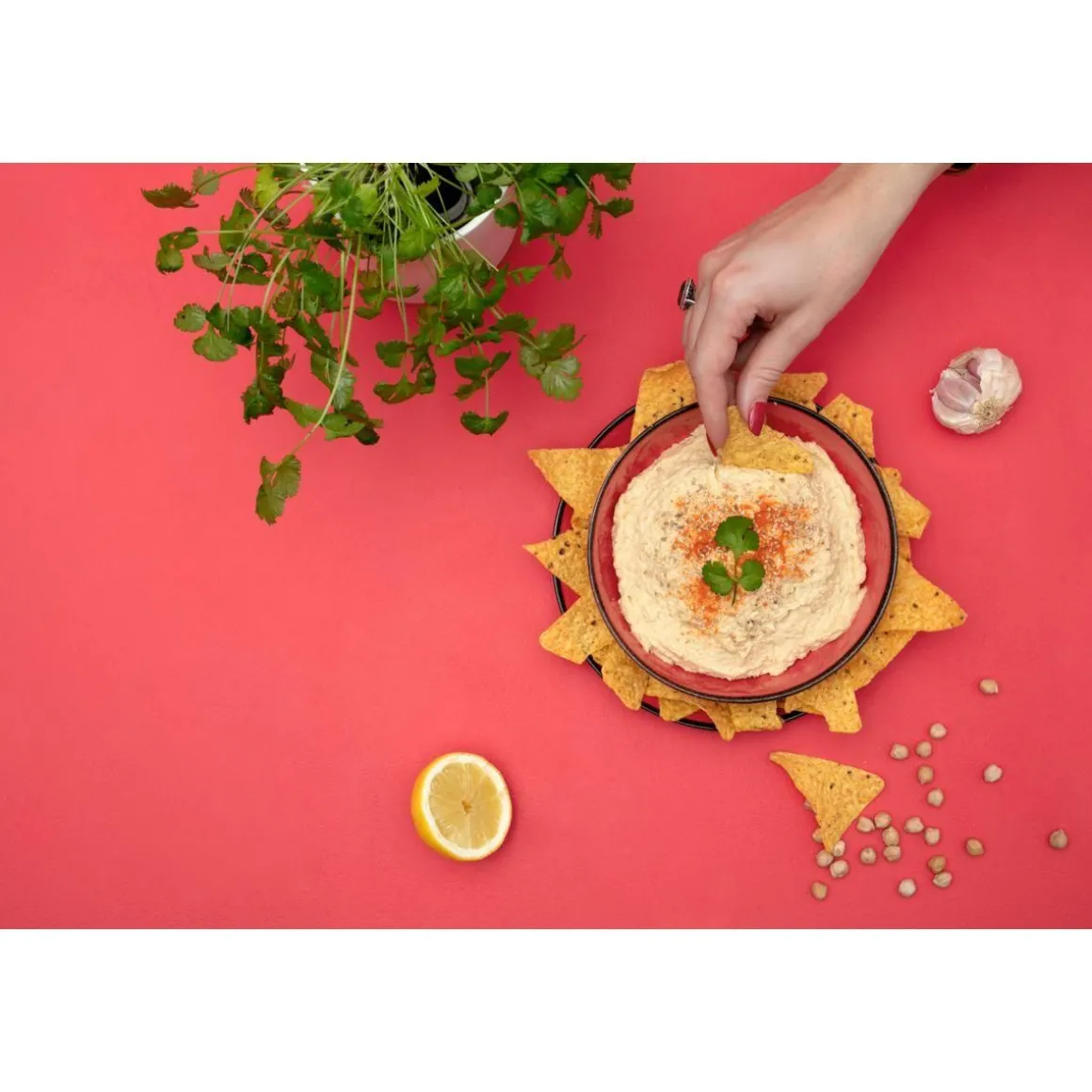 Recharge jardin d'intérieur CORIANDRE