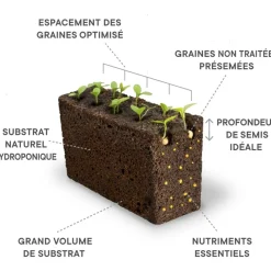 Recharge jardin d'intérieur mini tomate rouge