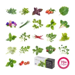 Recharge jardin d'intérieur mini tomate rouge