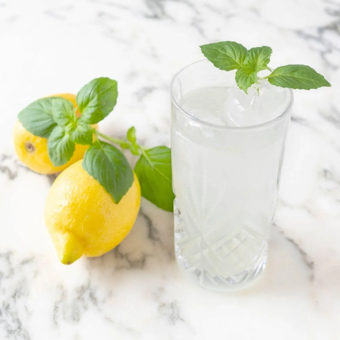 Recharge jardin d'intérieur BASILIC CITRON