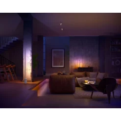 Ruban LED HUE W&C Lightstrip Gradient extension 1M