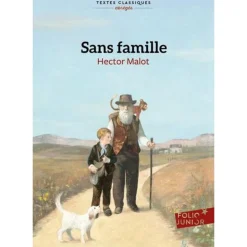 SANS FAMILLE, Malot Hector