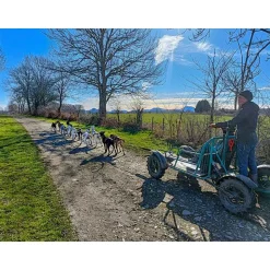 Séjour au poil : 2 jours en gîte avec balade en Cani-Kart en famille près de Clermont-Ferrand - Coffret Cadeau Séjour