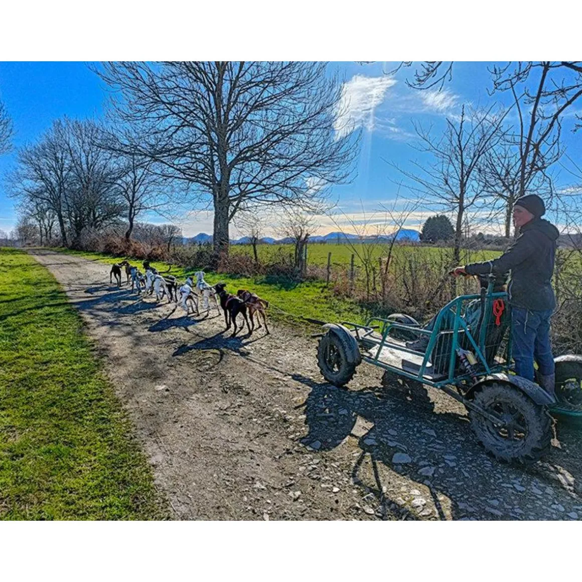 Séjour au poil : 2 jours en gîte avec balade en Cani-Kart en famille près de Clermont-Ferrand - Coffret Cadeau Séjour