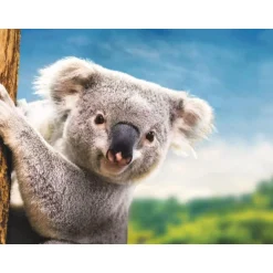 Séjour au ZooParc de Beauval en 2025 - Coffret Cadeau Séjour