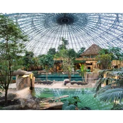 Séjour au ZooParc de Beauval en 2025 - Coffret Cadeau Séjour