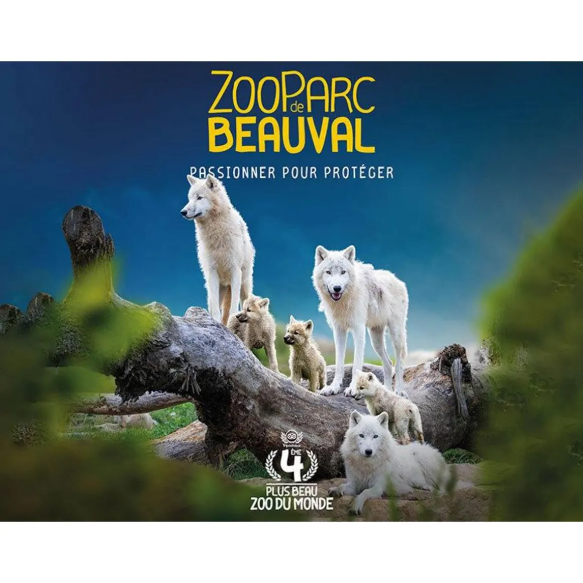 Séjour au ZooParc de Beauval en 2025 : 2 journées et 1 nuit à proximité pour 2 adultes - Coffret Cadeau Multi-thèmes
