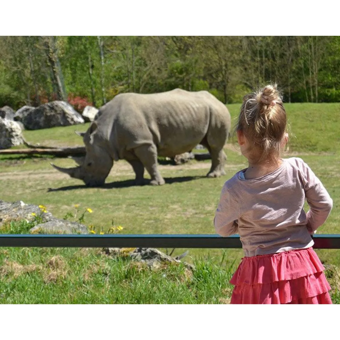 Séjour au ZooParc de Beauval en 2025 : 2 journées et 1 nuit à proximité pour 2 adultes - Coffret Cadeau Multi-thèmes