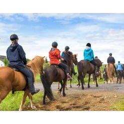 Séjour champêtre de 3 jours en maison d'hôtes - Coffret Cadeau Séjour