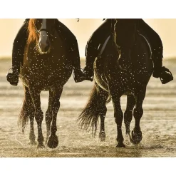 Séjour de 2 jours avec petit-déjeuner et balade à cheval en France en duo - Coffret Cadeau Séjour