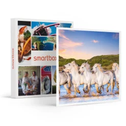 Séjour romantique : 2 jours dans un hôtel en Camargue - Coffret Cadeau Séjour