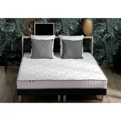 Sommier tapissier 2x90x200 cm BLASON