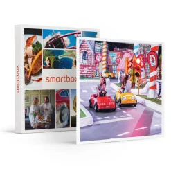 Sortie découverte au parc France Miniature pour 1 adulte et 1 enfant - Coffret Cadeau Multi-thèmes