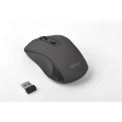 Souris sans fil silencieuse BK CSR