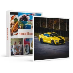 Stage de pilotage : 3 tours sur le circuit de Pouilly-en-Auxois en Ford Mustang Shelby GT500 - Coffret Cadeau Sport & Aventure