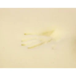 Surmatelas Mémoire de forme Haute Densité 140x190 cm