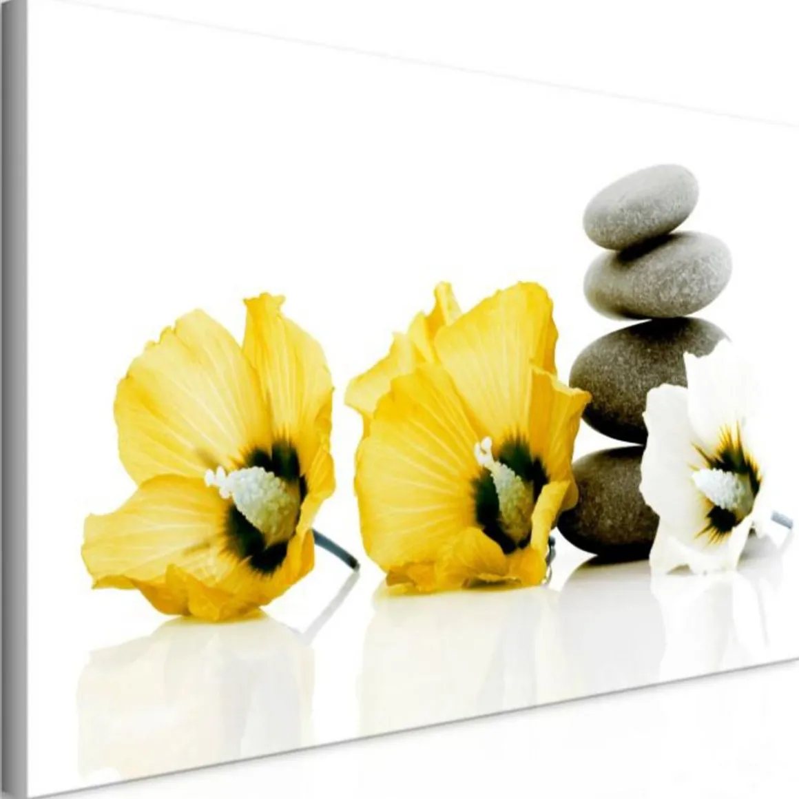 Tableau Imprimé Calm Mallow Yellow