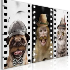 Tableau Imprimé Funny Pets Collection