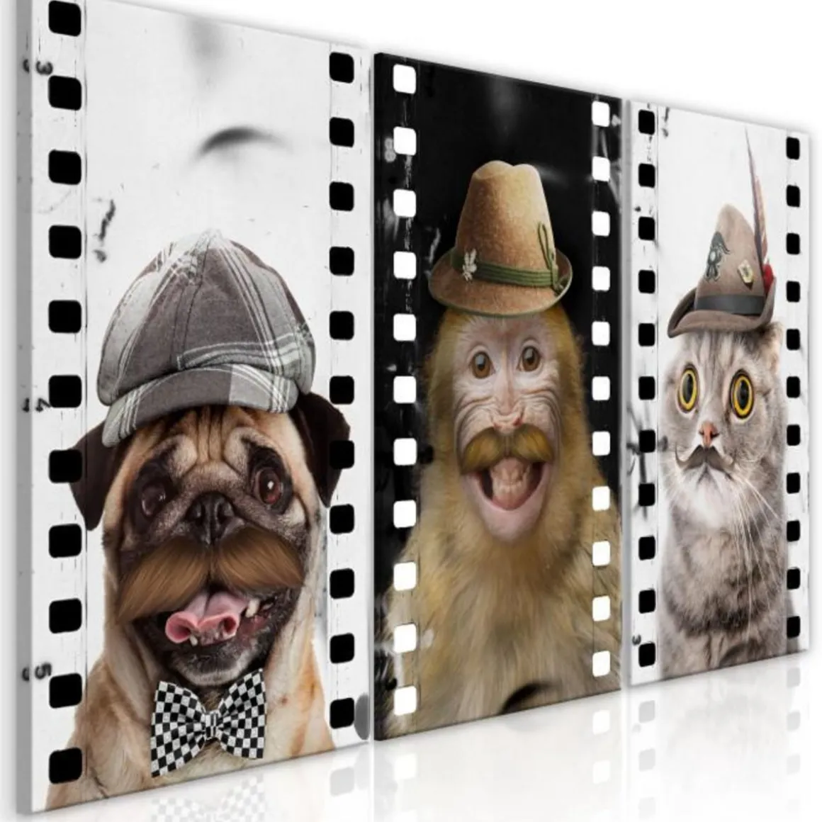 Tableau Imprimé Funny Pets Collection