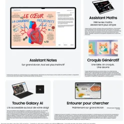 Tablette Android Galaxy Tab S10Ultra 14.6 512Go Gris