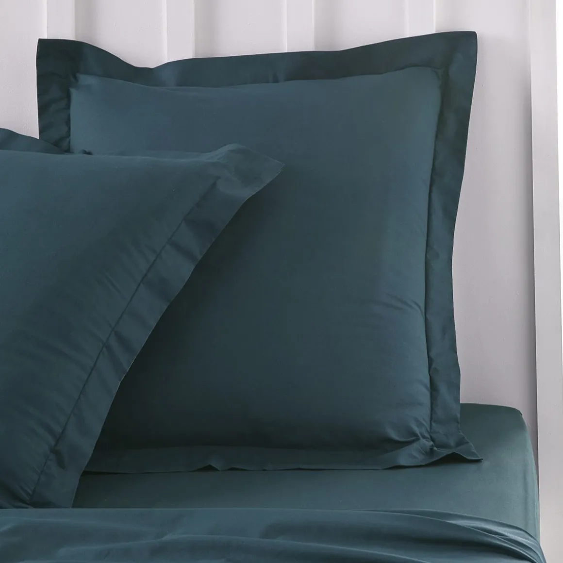 Taie d'oreiller unie en Coton 57 fils ORGANIC