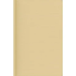 Tapis de tente 300x500 cm Beige