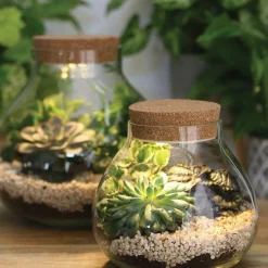 Terrarium à faire soi-même avec LED Ø 20,5 x 20 cm