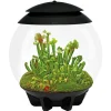 Terrarium automatisé noir - Air 30 black