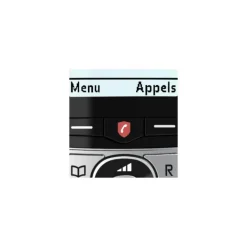 Téléphone sans fil F890 Voice Duo Noir