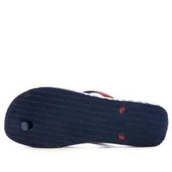 Tongs Homme Havaianas 4145727