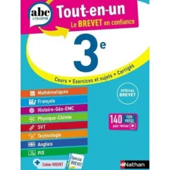 TOUT-EN-UN 3E, Feugère Carole
