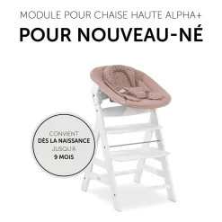 Transat Alpha Bouncer 2en1