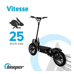 Trottinette electrique BEEPER Cross FX1000-S - 1000 W - Pliable - Batterie Plomb - 36 V - Sans selle