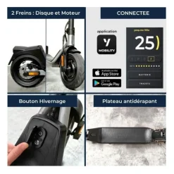 Trottinette électrique - YEEP.ME - 100a - 500W - 10'' - 10,4Ah - 40km - Clignotants - Garantie 5 ans