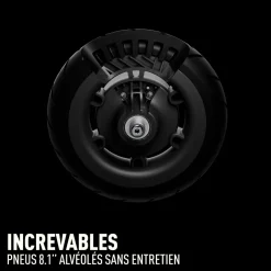 Trottinette électrique Ninebot E2 Plus II E Powered