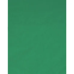 Trépied vlogger inflluence studio 3