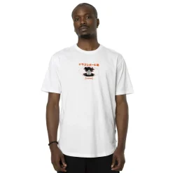 T-shirt en coton homme confort avec print Dragon Ball Super Instinct