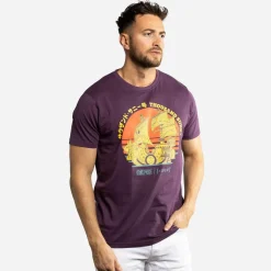 T-shirt homme regular fit avec print One Piece Sunny