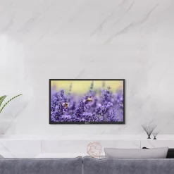 TV HD LED Smart TV Q24HS241B