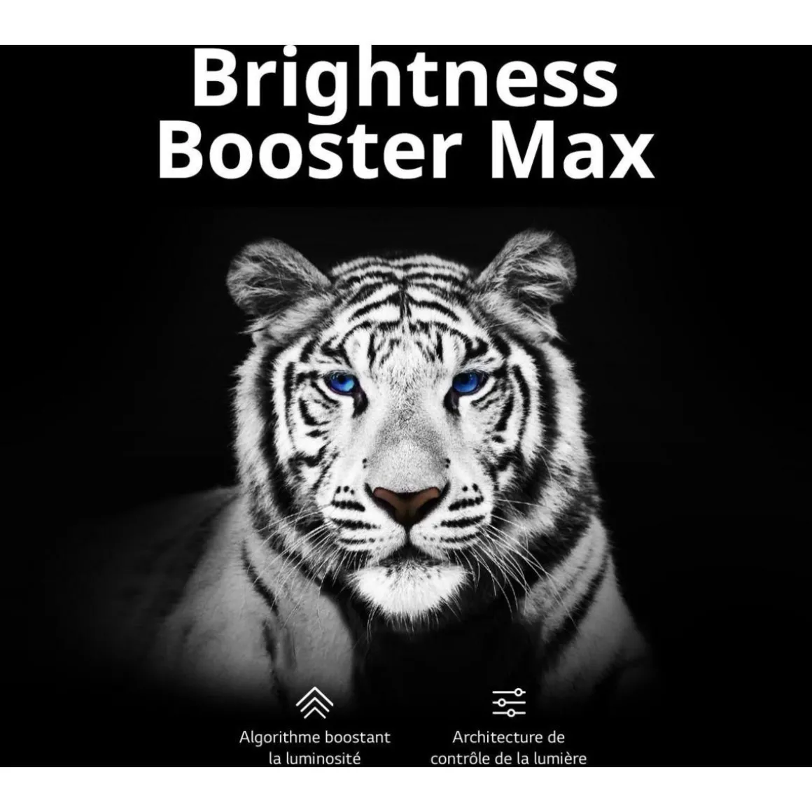 TV OLED OLED83M3 2023