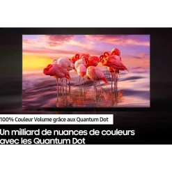 TV QLED TQ32Q50A 2024