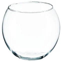 Vase Boule en Verre Frost 15cm Transparent