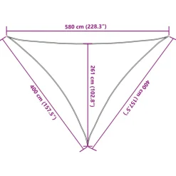 Voile d'ombrage 160 g/m^2 Marron 4x4x5,8 m PEHD