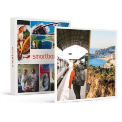 Voyage en Europe : Pass Interrail Global Continu 15 jours avec nuit en hôtel - Coffret Cadeau Multi-thèmes